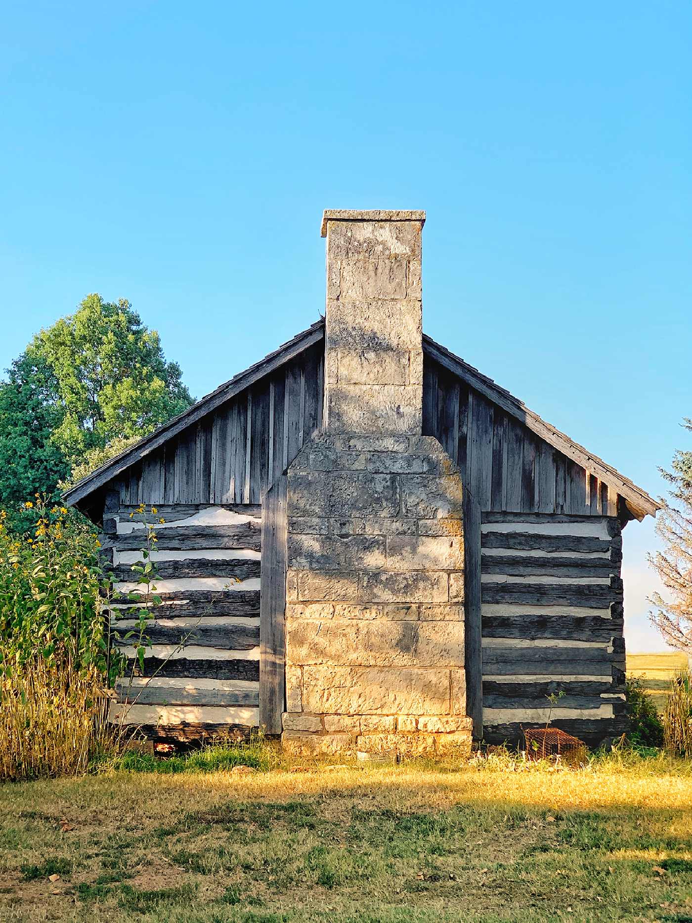 Old building in park