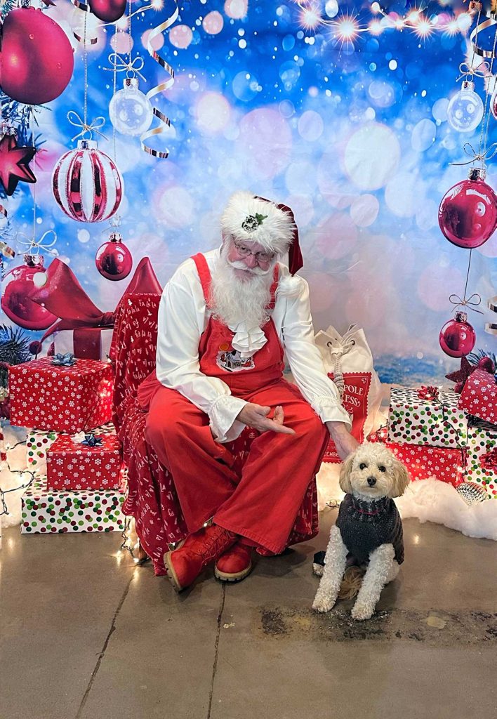 Santa and a dog