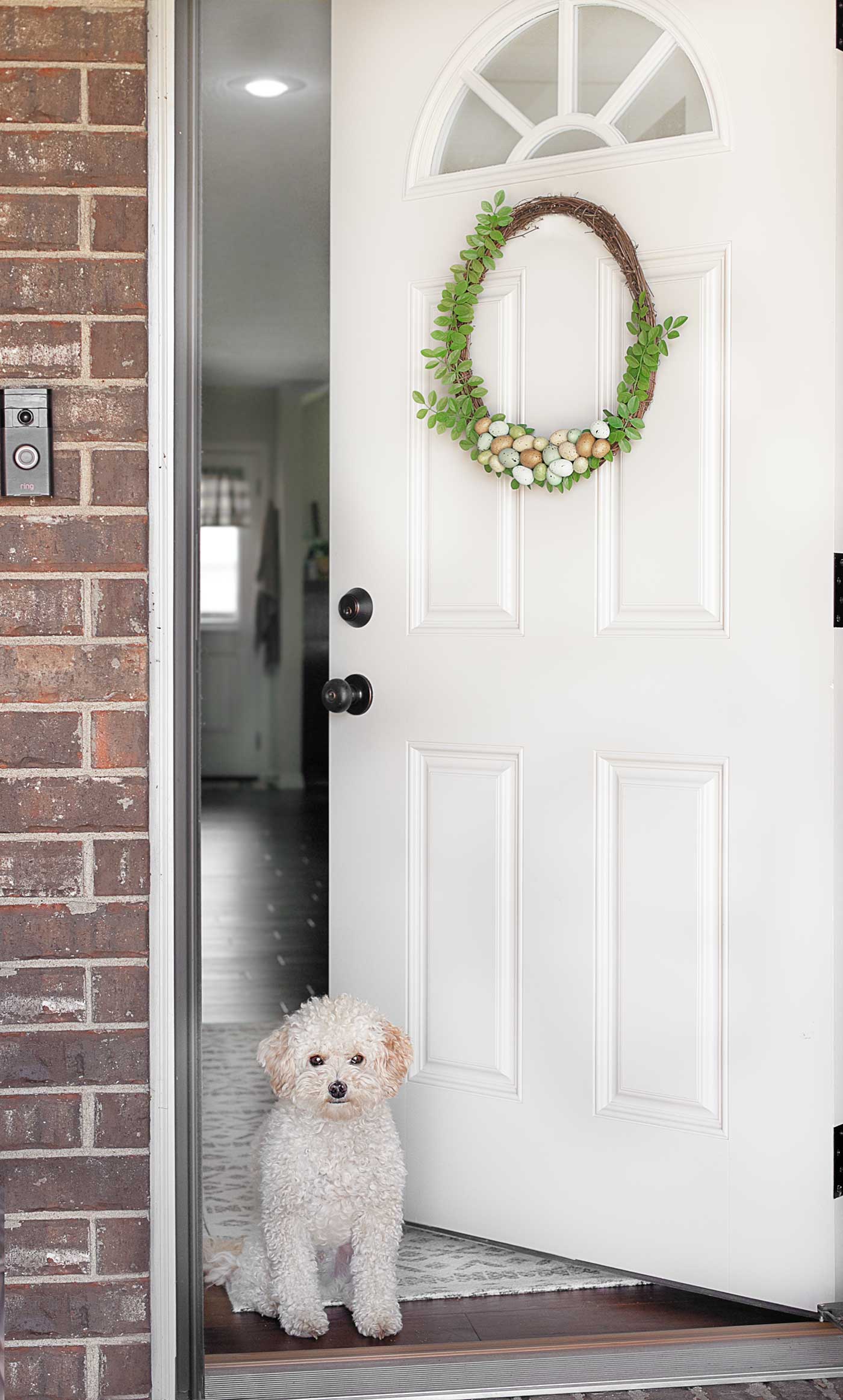 sweet dog in doorway with a diy spring wreath on the front door