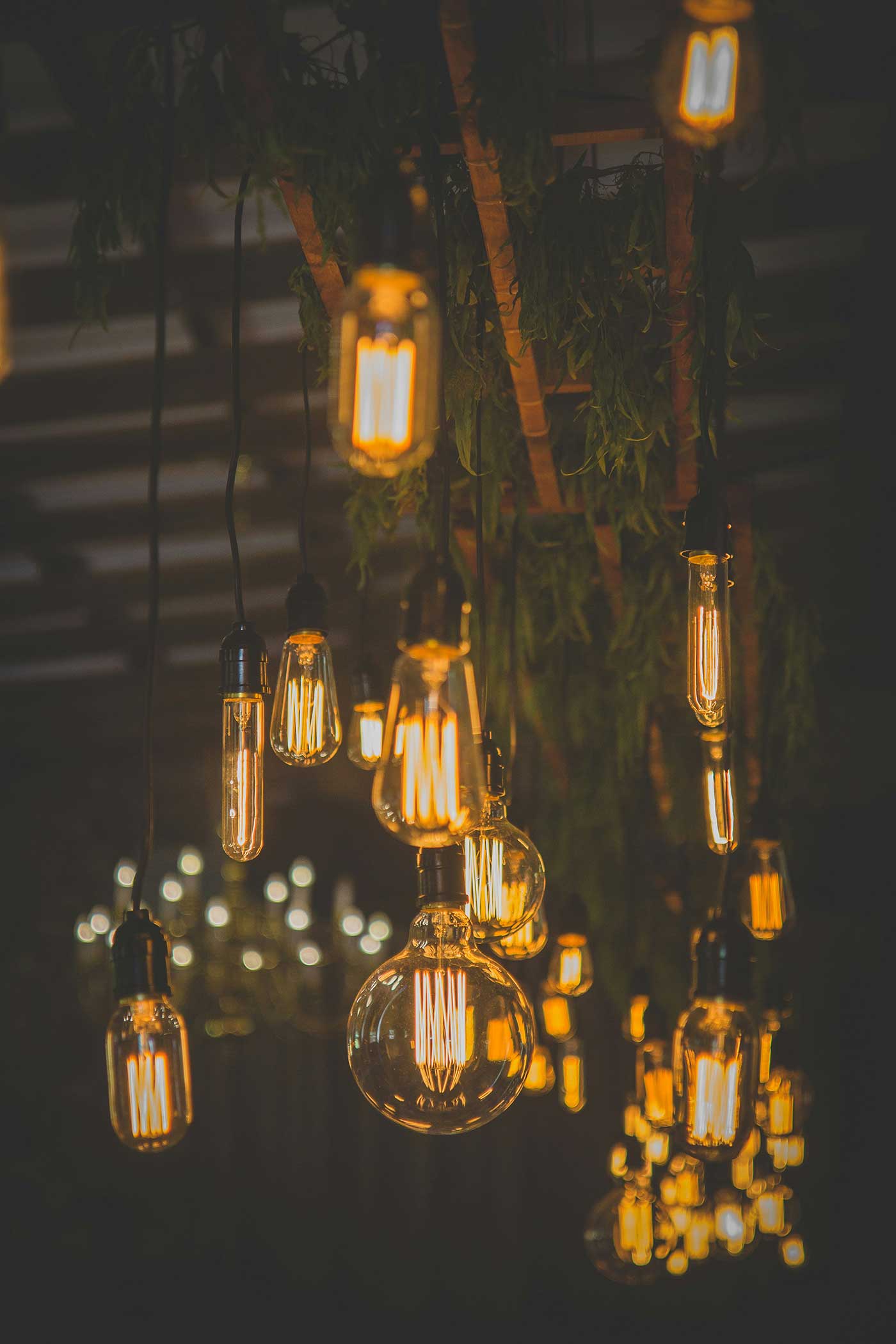 lights and greenery hanging