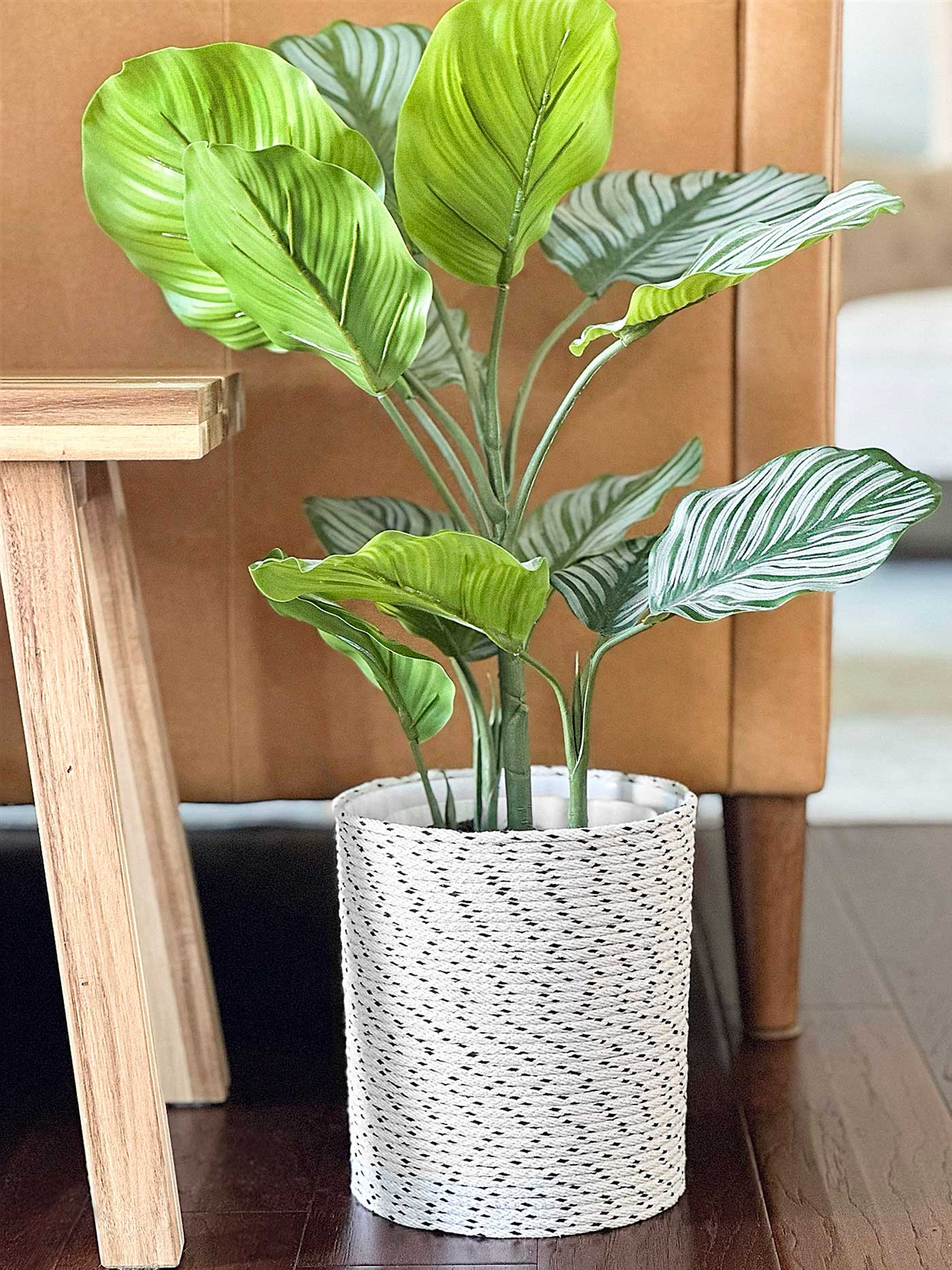 rope planter with a plant