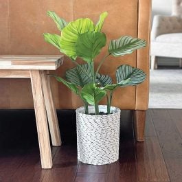 Plant in a rope wrapped planter