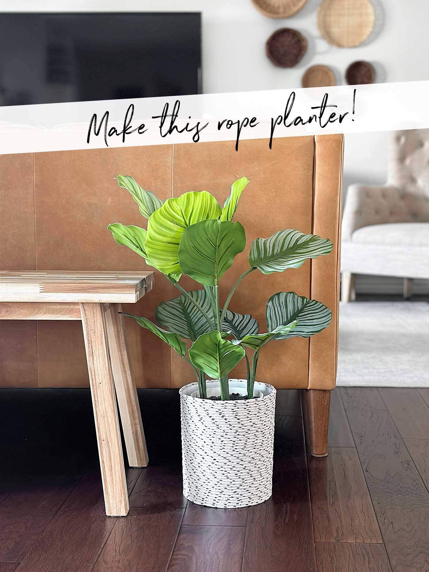 plant holder in a living room