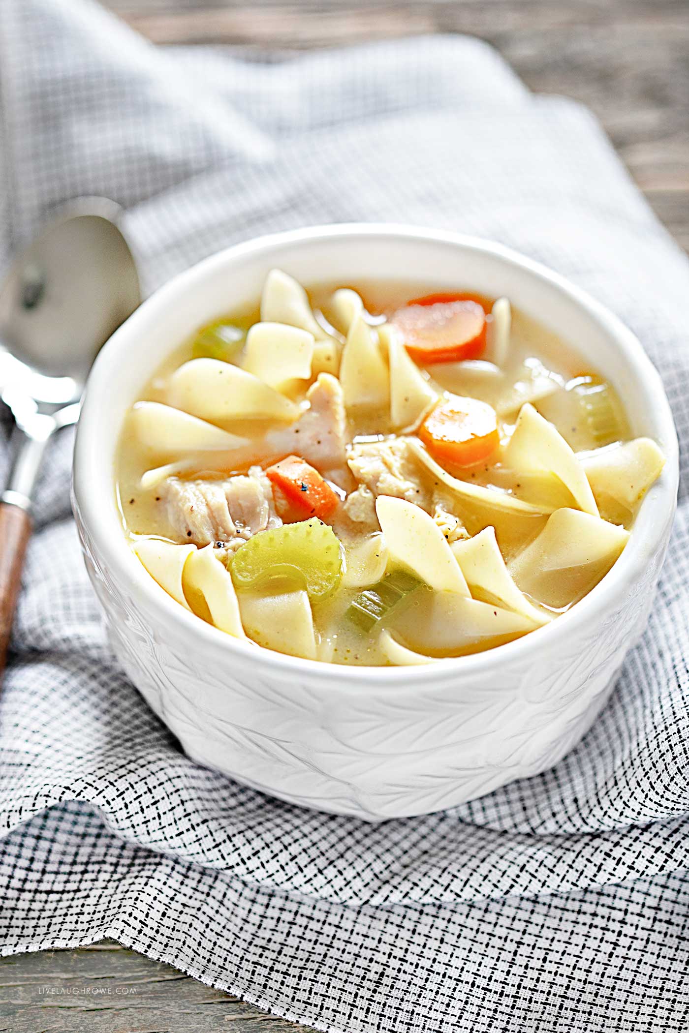 bowl of homemade chicken noodle that was made in the crockpot