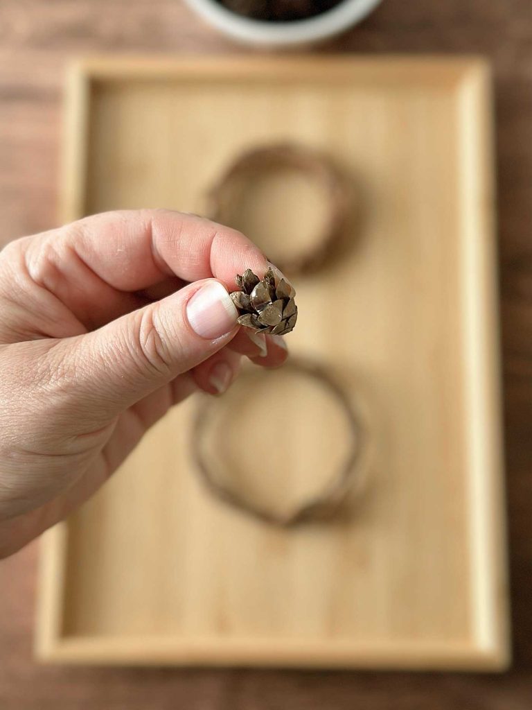 glue on a mini pinecone