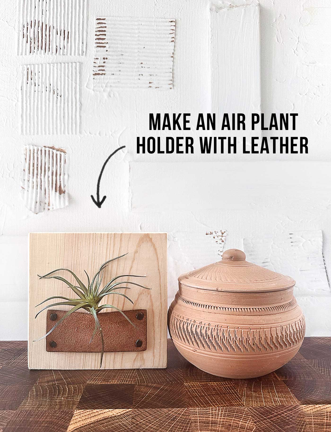 air plant holder sitting next to a terracotta pot with a lid