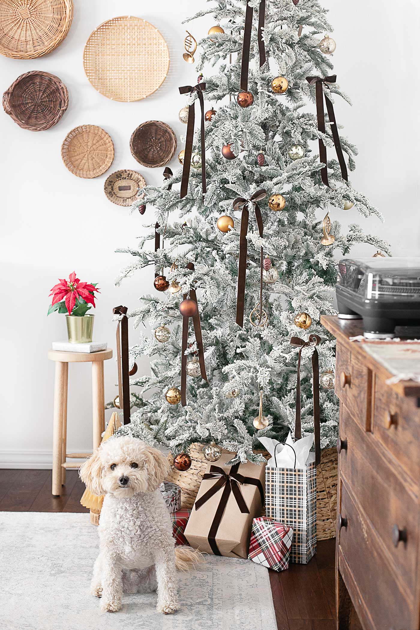 adorable dog sitting in front of a decorated flocked tree