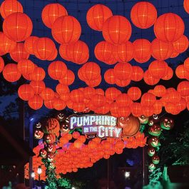 Orange Lanterns at Pumpkins in the City. Harvest Festival at Silver Dollar City.