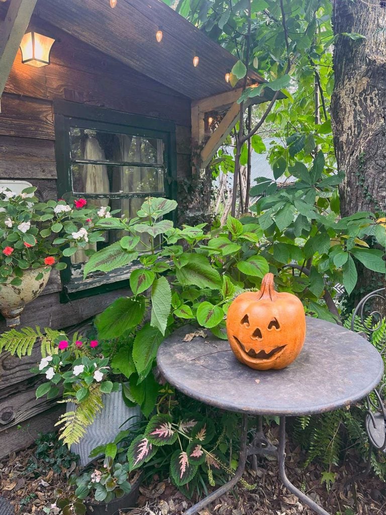 jack-o-lantern pumpkin and greenery in an outdoor vignette