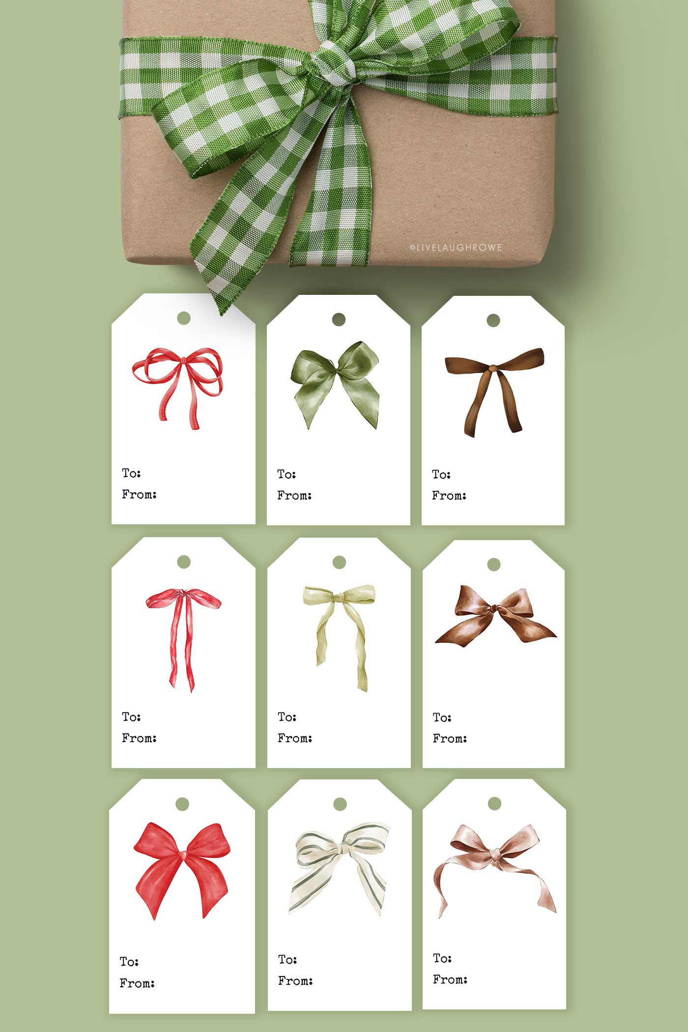 package with a green gingham bow and bow gift tags laid out below it