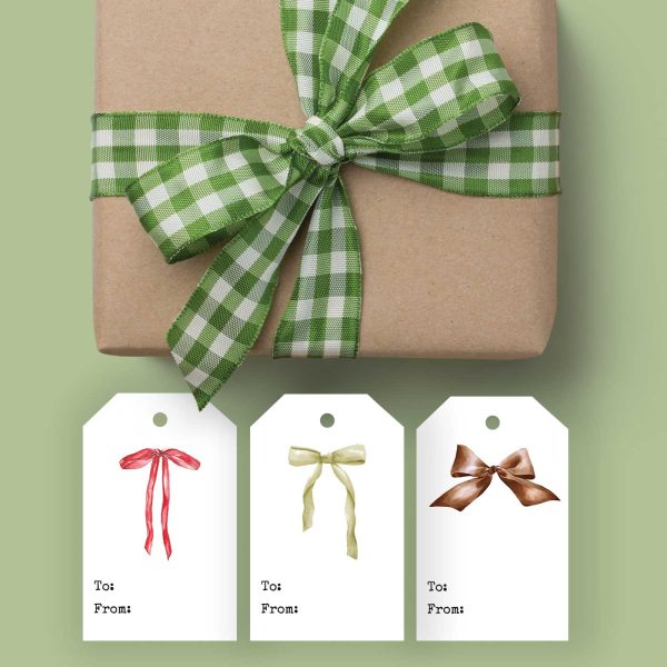 package with a green gingham bow and bow gift tags laid out below it