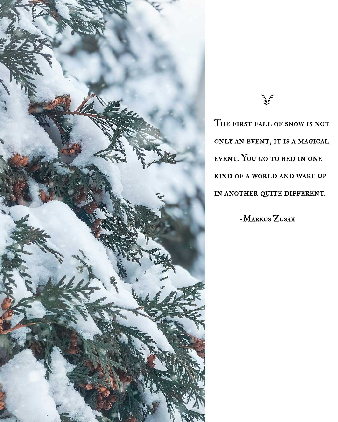 picture of snowfall on a tree with pinecones and a quote on the right side