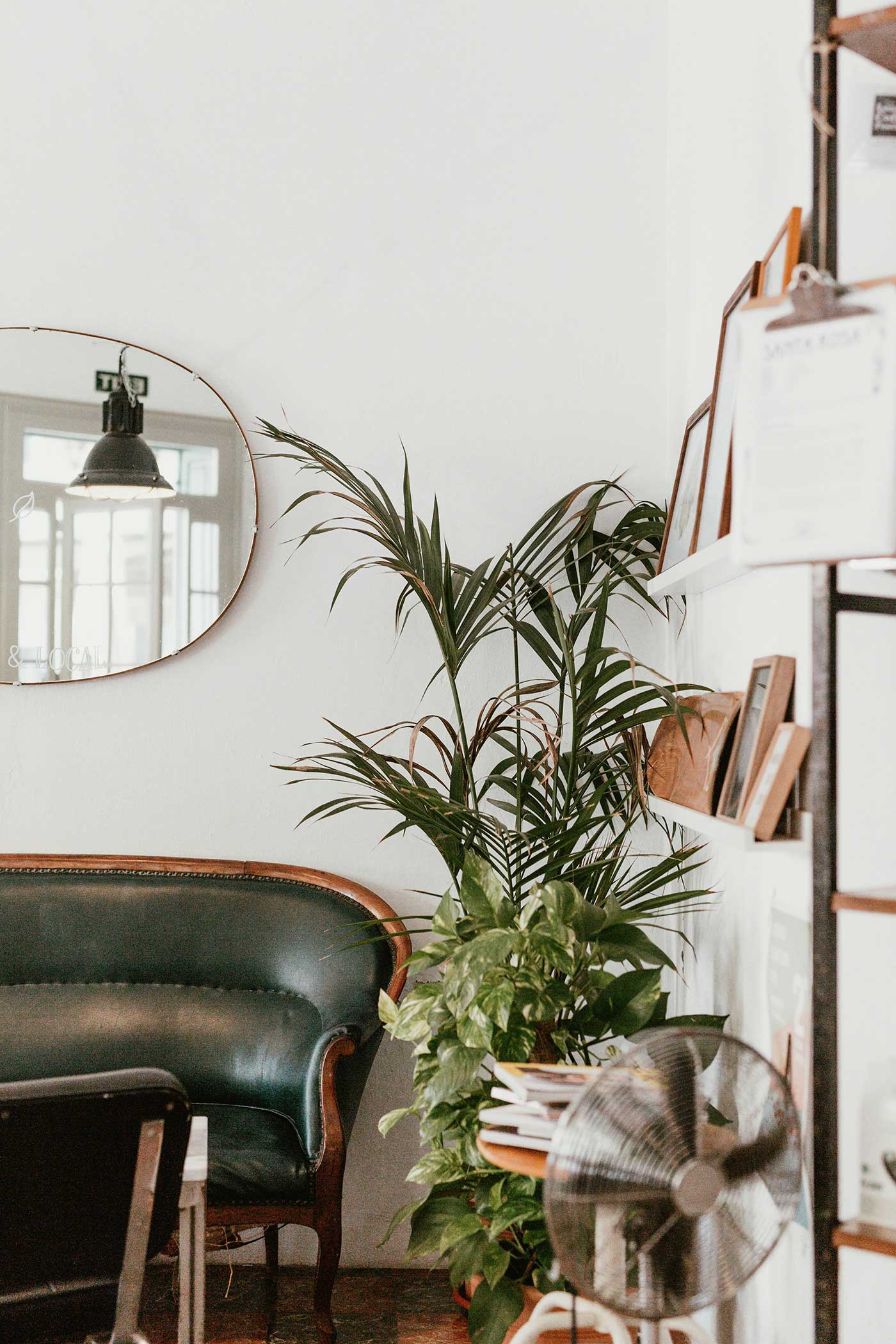 corner of a room with green couch, mirror, plants and a lamp