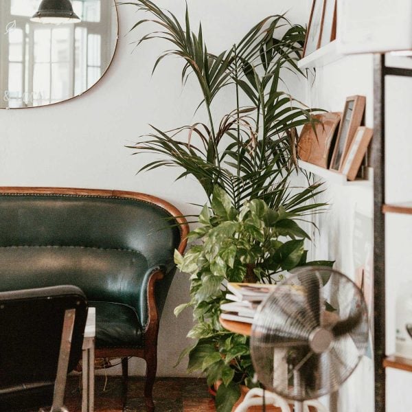 corner of a room with green couch, mirror, plants and a lamp