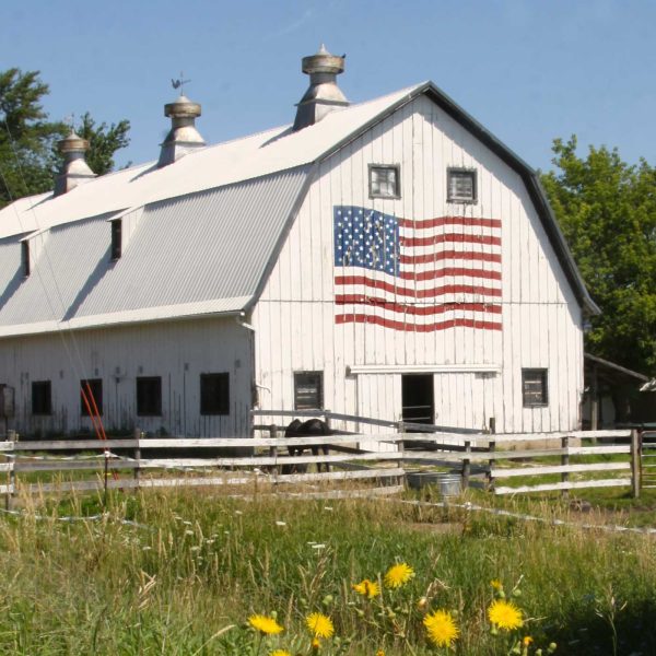 white barn with an american flag on it. white fence and lush green countryside