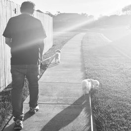 black and white photo of a man walking with two dogs at dusk.