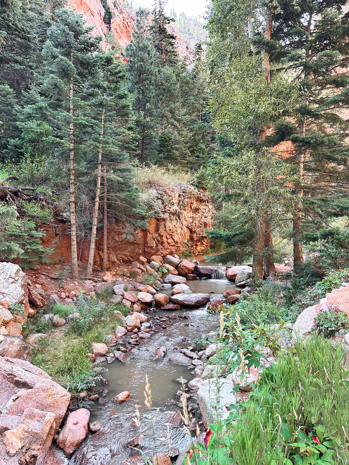 beautiful scene in Colorado Springs, trees and a creek