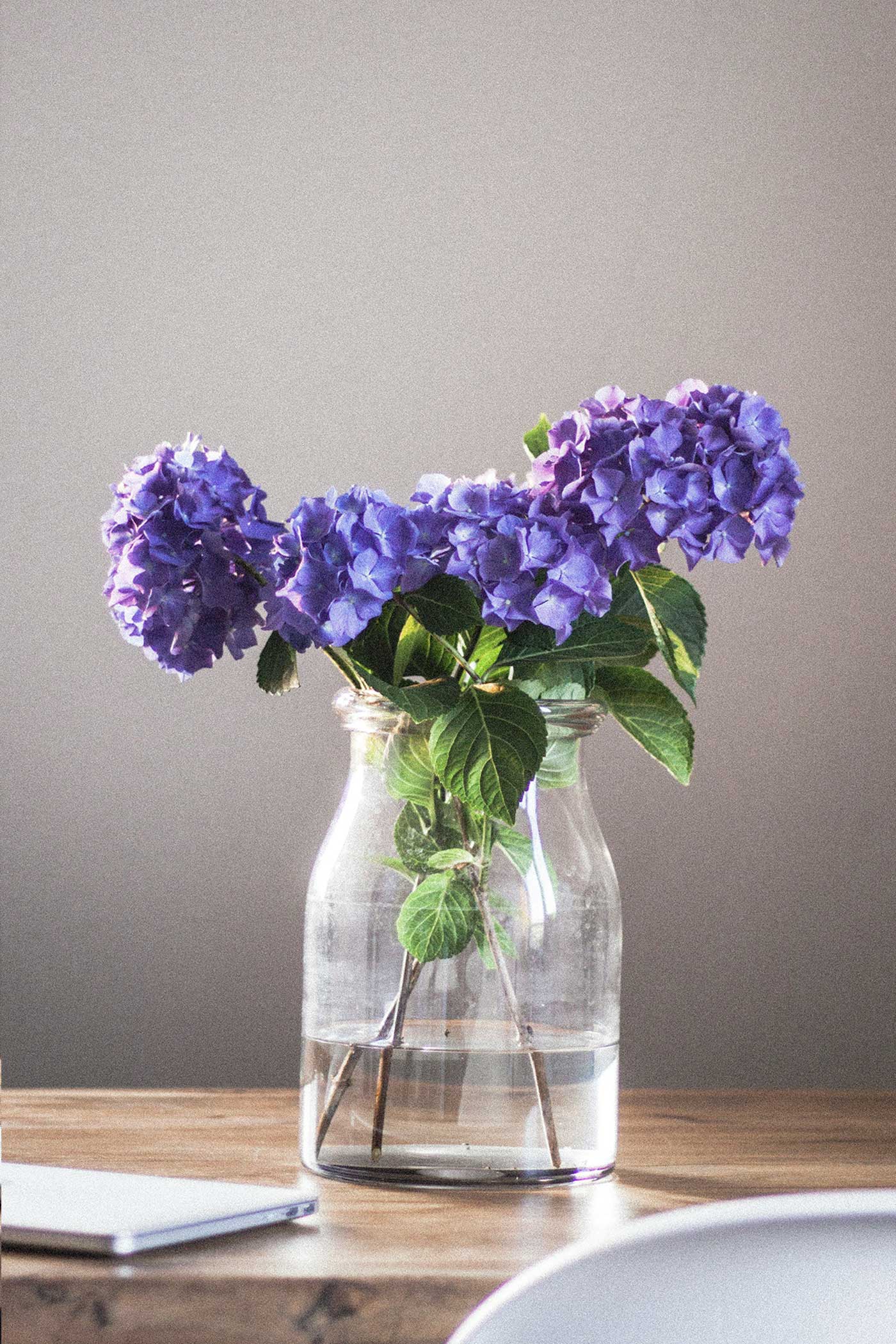a glass vase with gorgeous purple hydrangeas on a wooden table with a notebook beside it