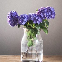 a glass vase with gorgeous purple hydrangeas on a wooden table
