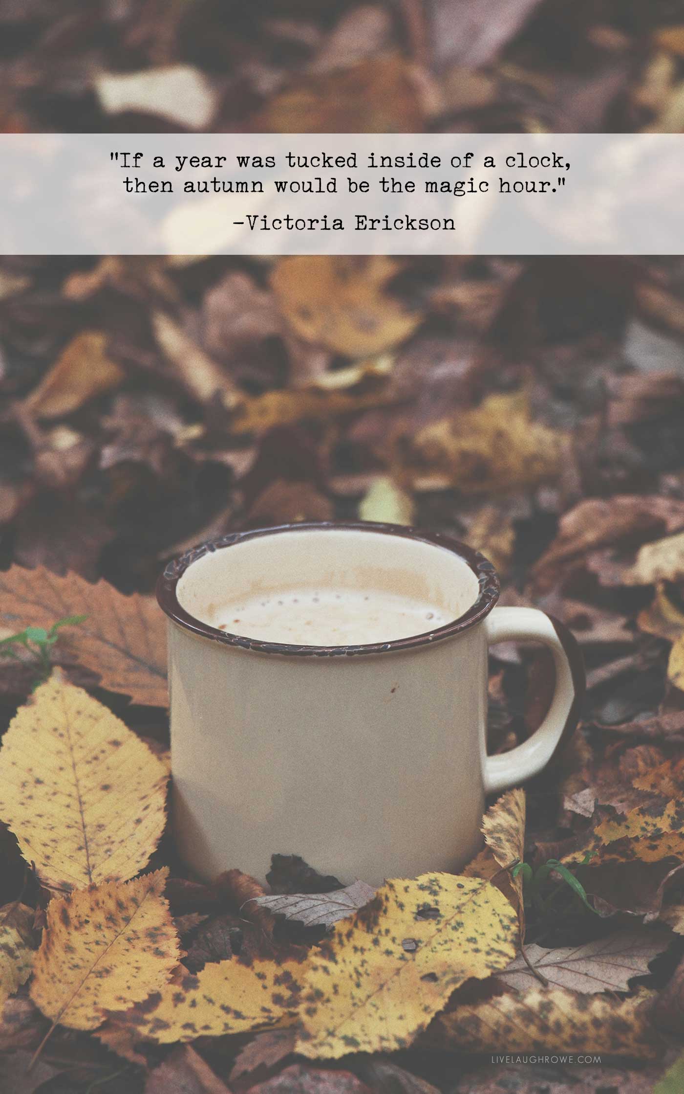 a mug filled with coffee or hot chocolate sitting amongst autumn leaves. text overlay with the words: “If a year was tucked inside of a clock, then autumn would be the magic hour.” -Victoria Erickson