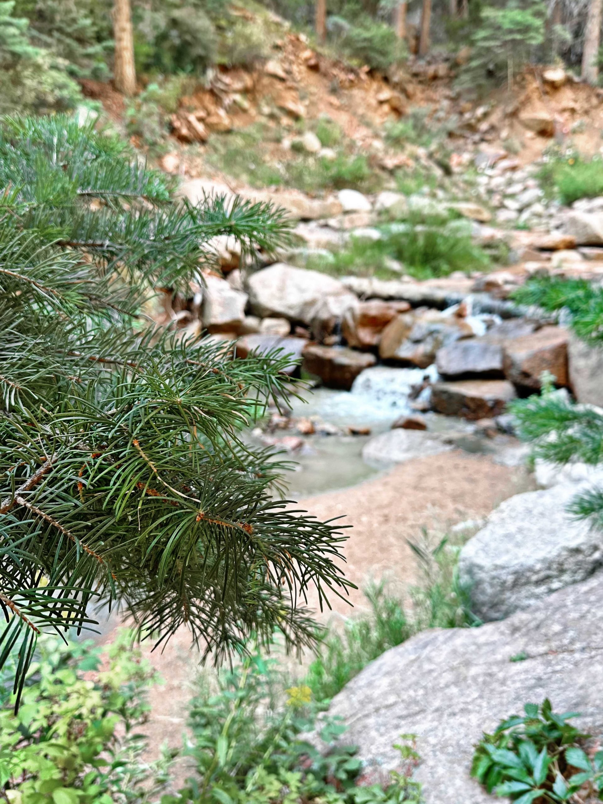 Colorado Springs 