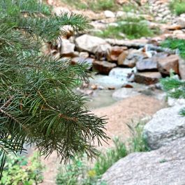 Colorado Springs