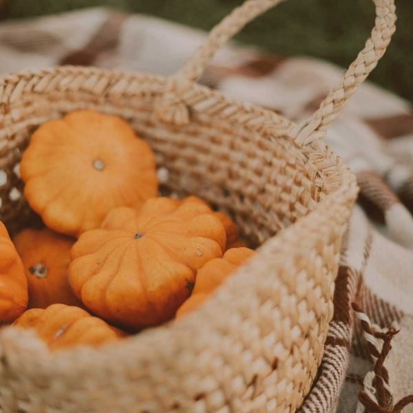 fall picture of small pumpkins and gourds in a basket on a plai fall blanket