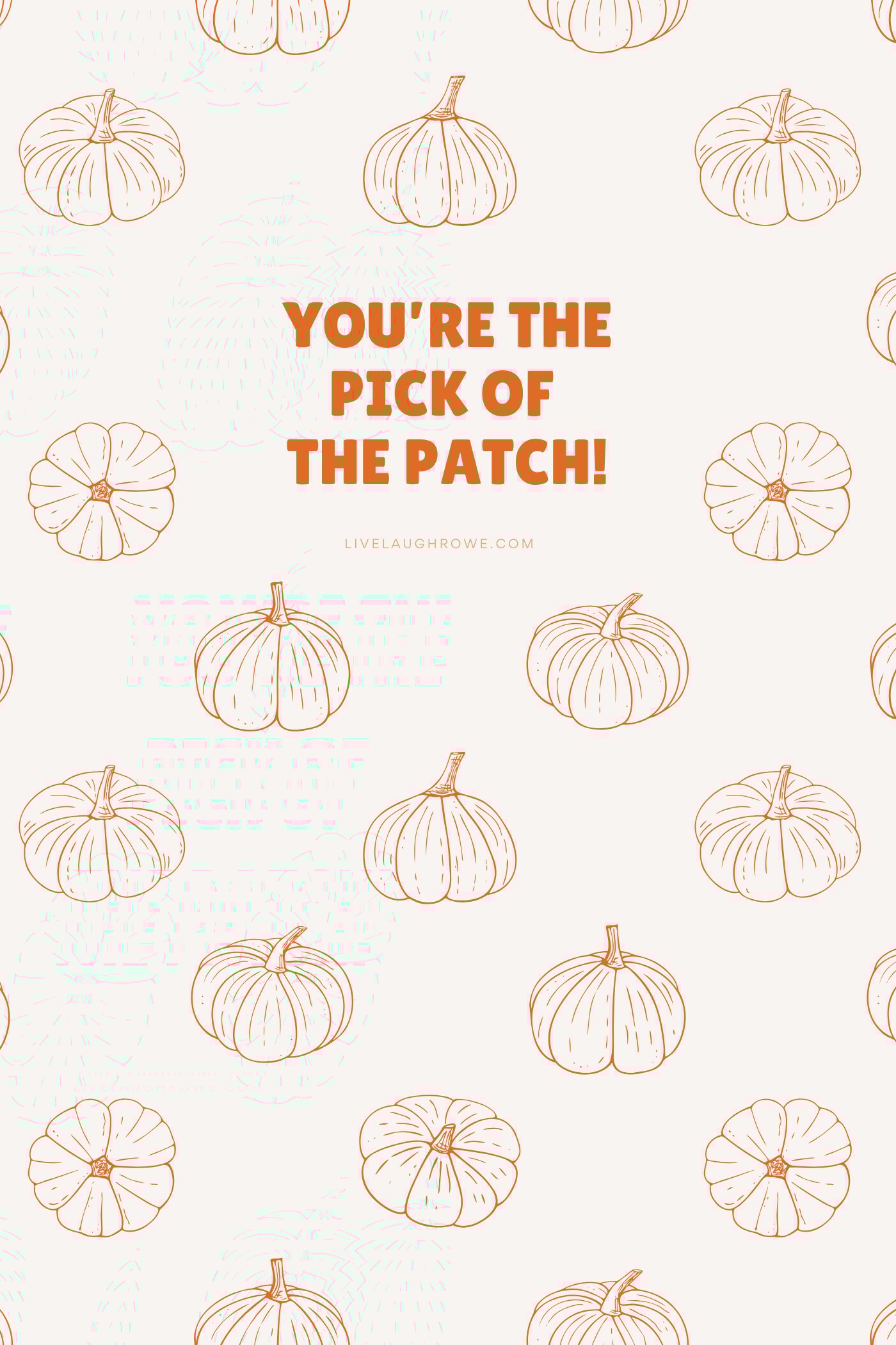 lots of pumpkin graphics with the text, "You're the pick of the patch."