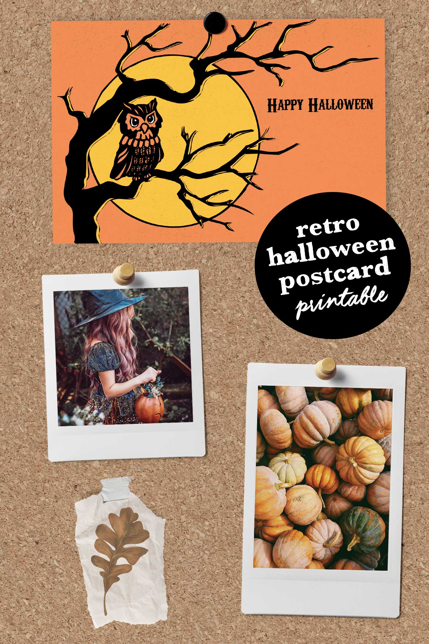 Retro Halloween postcard printable featuring an owl and full moon pinned to a corkboard alongside cozy fall photos of pumpkins, a witch hat, and autumn leaves — festive mood board styling by Live Laugh Rowe. Text stating "retro halloween postcard printable"