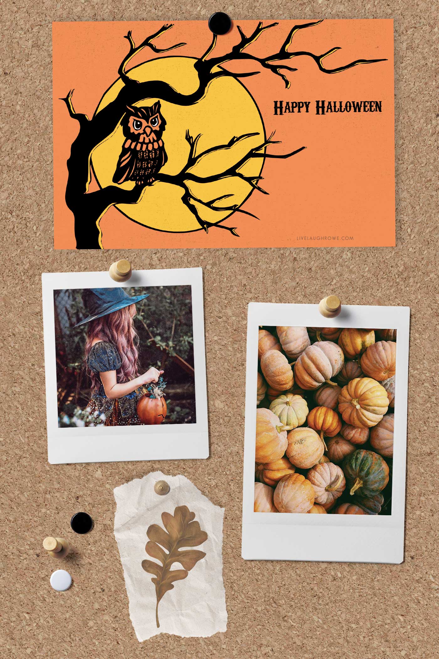Retro Halloween postcard printable featuring an owl and full moon pinned to a corkboard alongside cozy fall photos of pumpkins, a witch hat, and autumn leaves — festive mood board styling by Live Laugh Rowe.