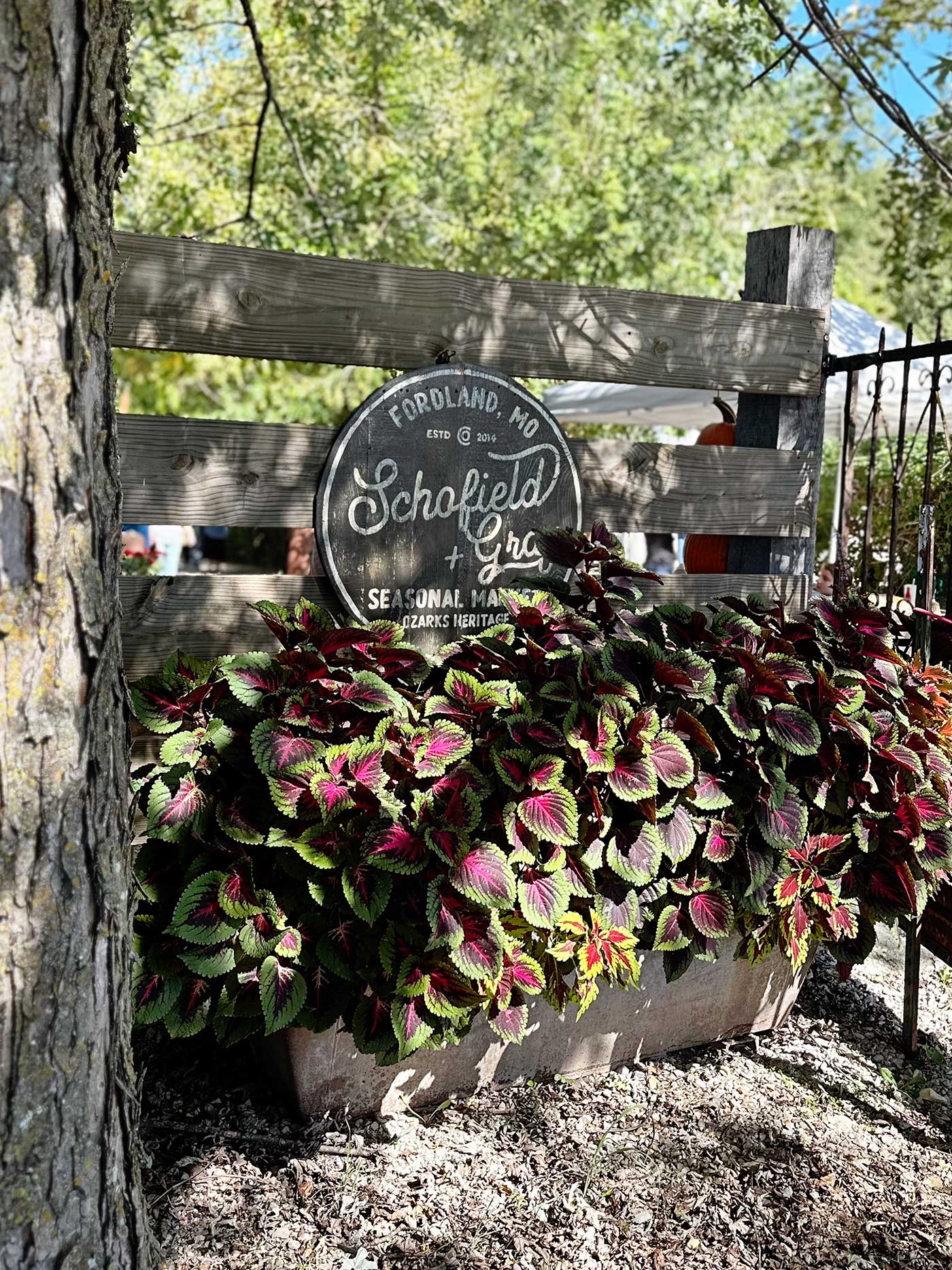 Schofield and Gray Seasonal Market in Fordland, MO
