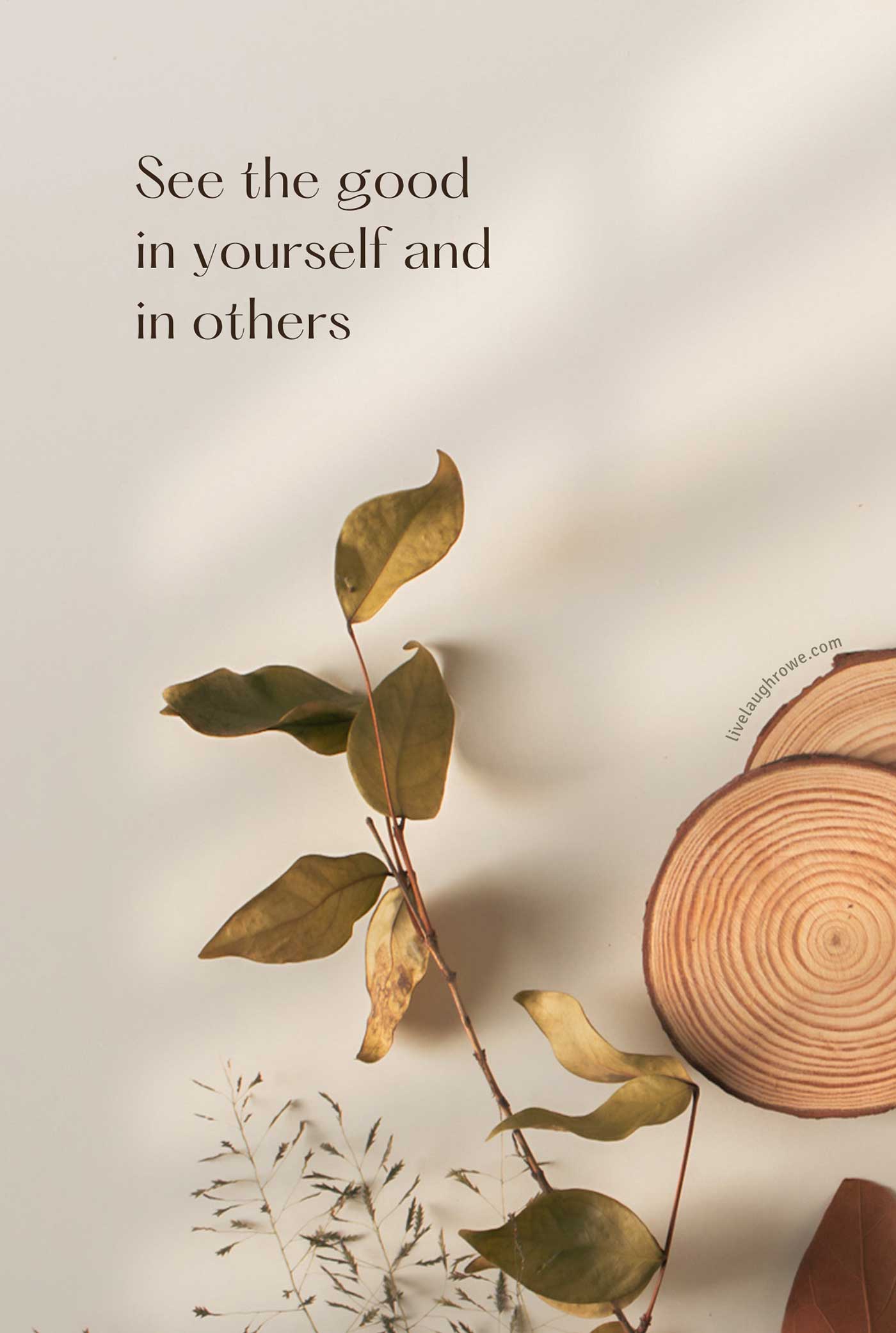 photo with text and natures findings such as leaves and wood