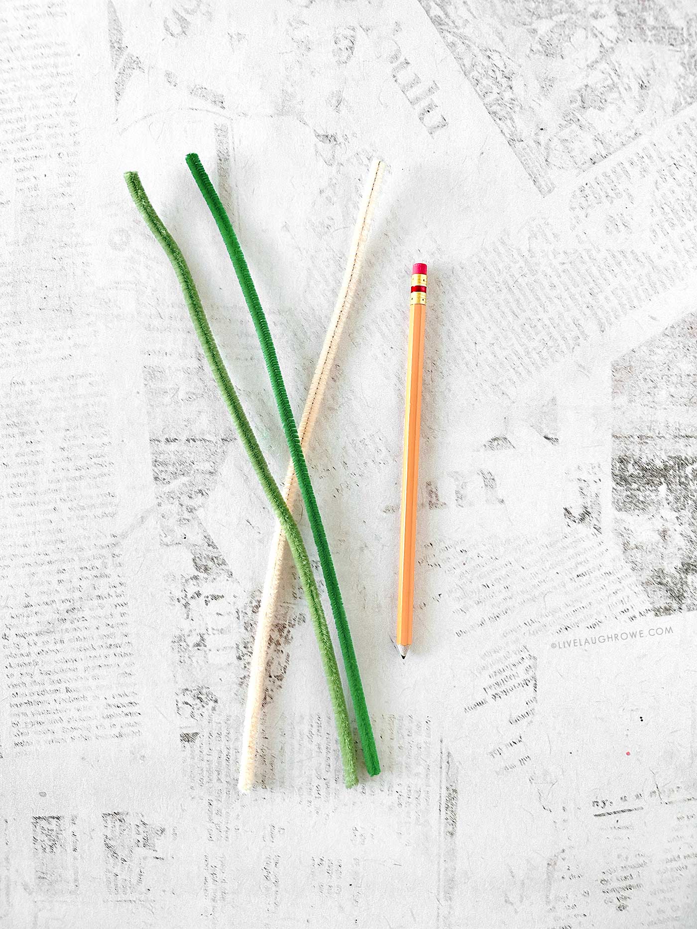 different color pipe cleaners and a pencil