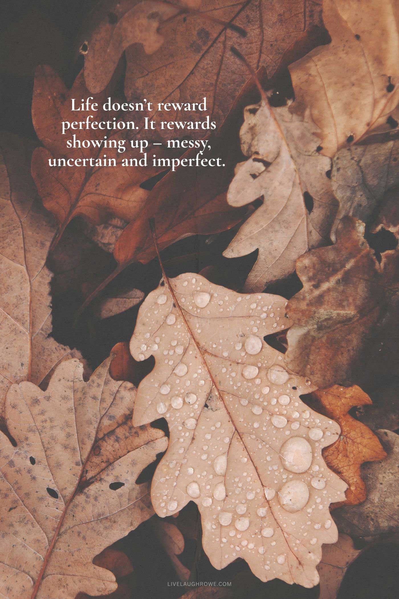 Autumn leaves with rain droplets and a quote about embracing imperfection.