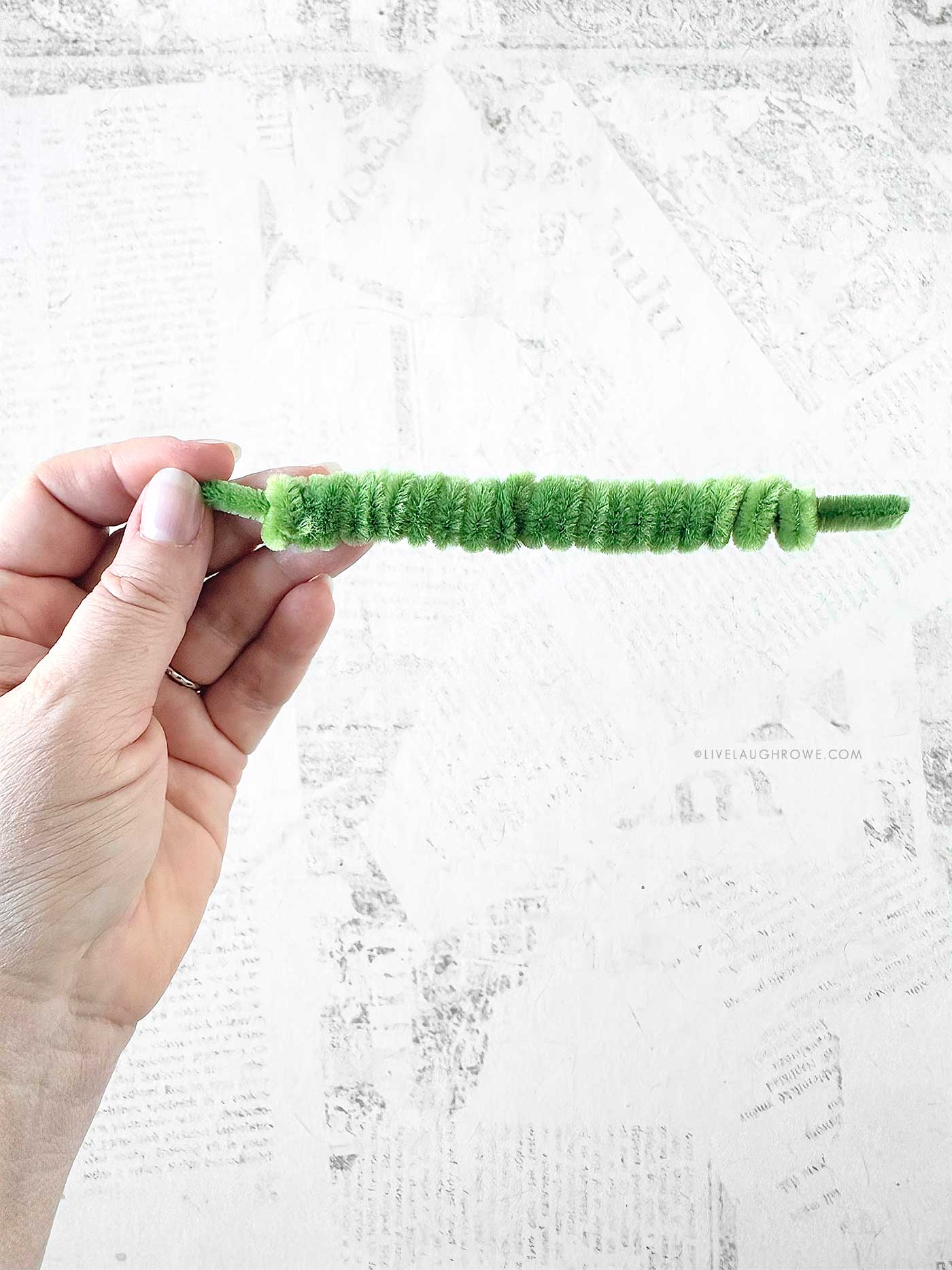 Two and three pipe cleaner coils slid onto a base stem to prepare for forming the wreath shape.