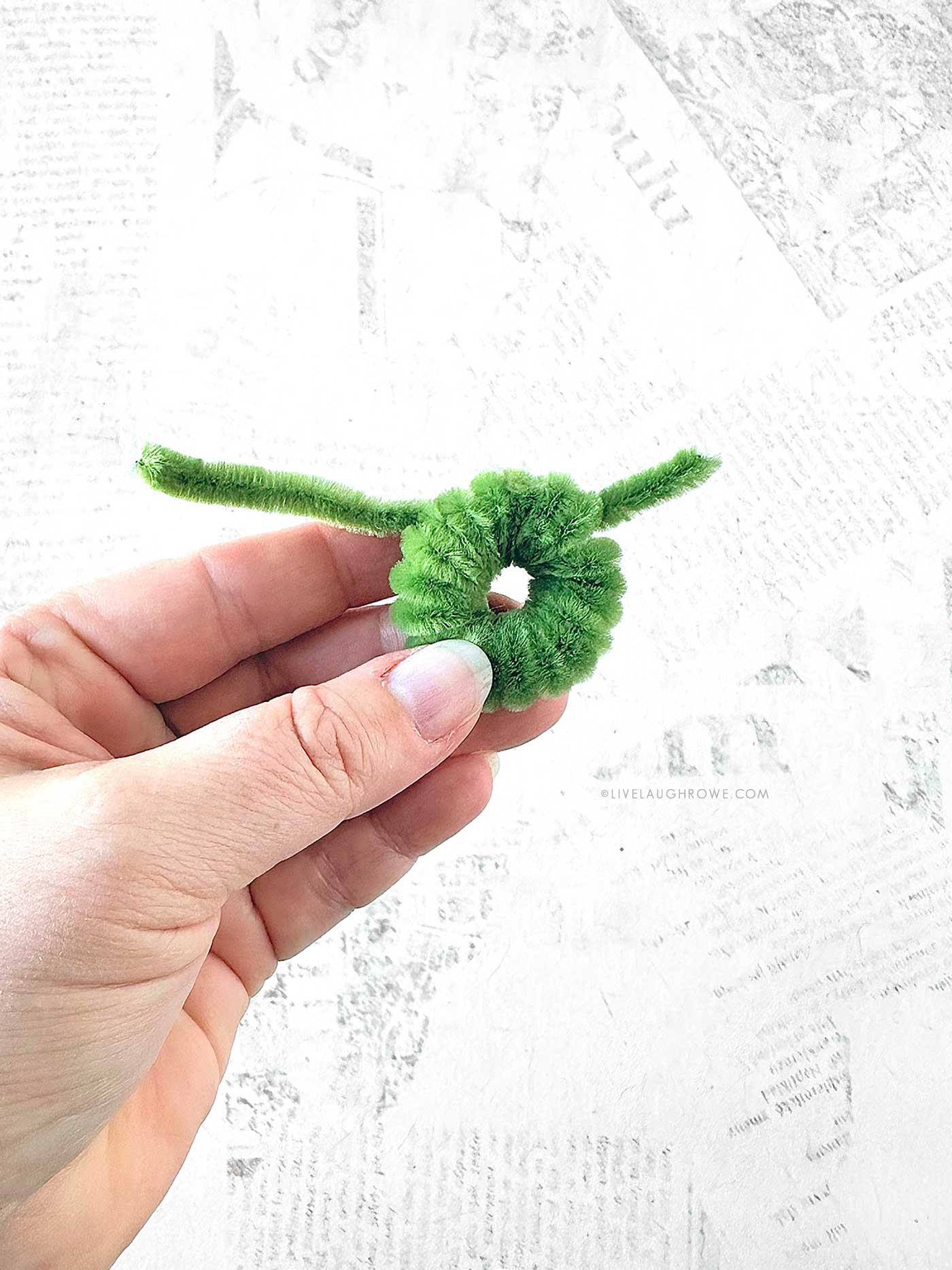 Hand holding a round mini wreath.