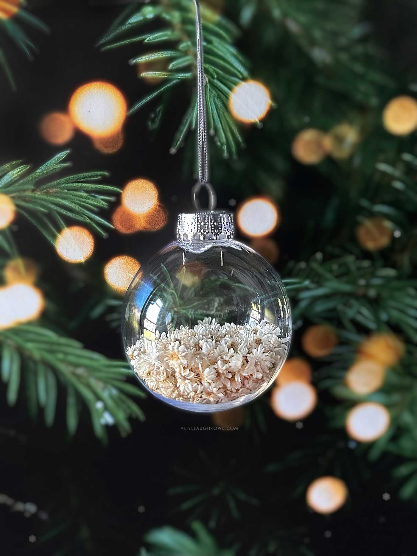 DIY dried flower ornament featuring tiny cream star flowers inside a clear ball ornament on a lit holiday tree.