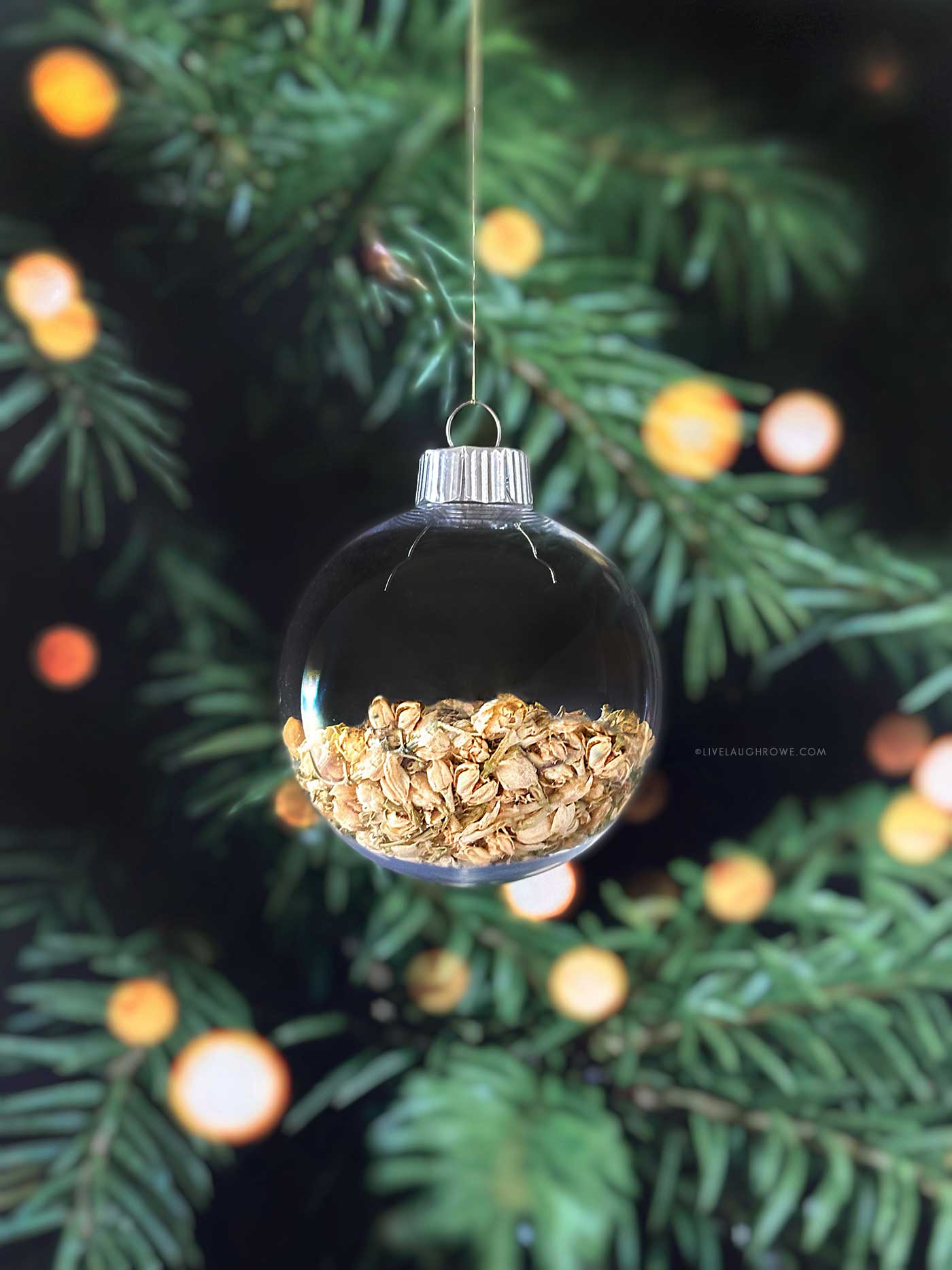Clear round ornament filled halfway with dried jasmine buds, displayed on a Christmas tree with soft bokeh lights.
