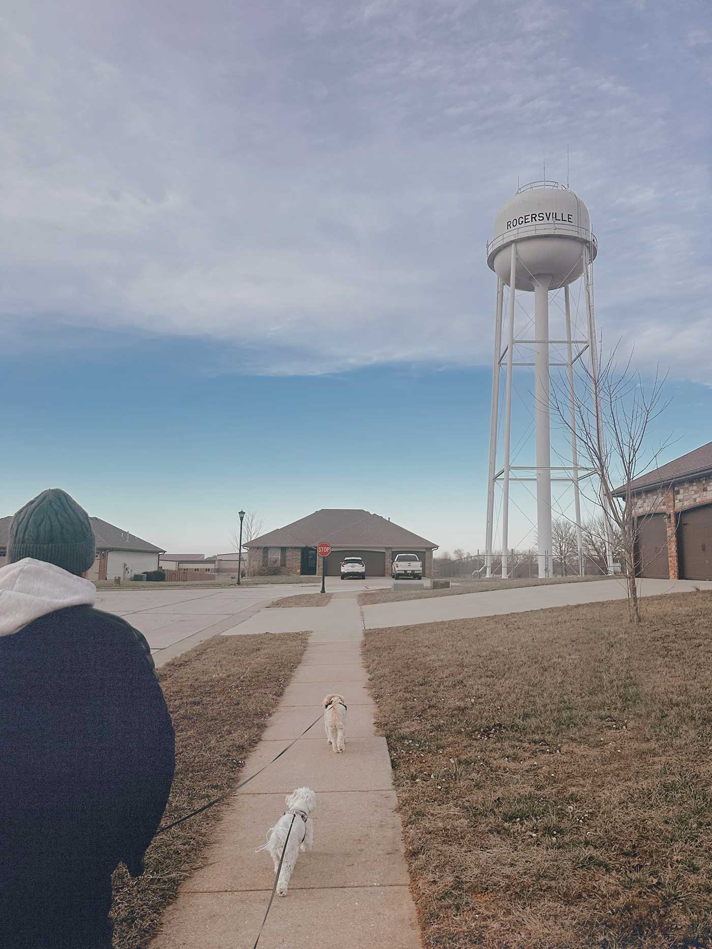 man and dogs walking in neighborhood