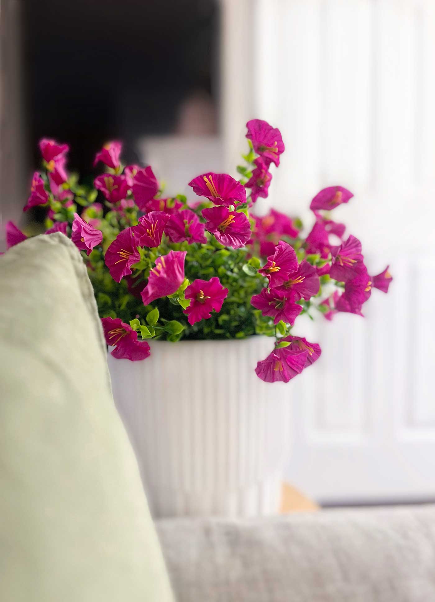 beautiful pot of flowers