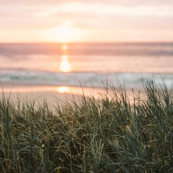 soft ocean sunrise over waves with beach grass in the foreground representing calm and quiet moments