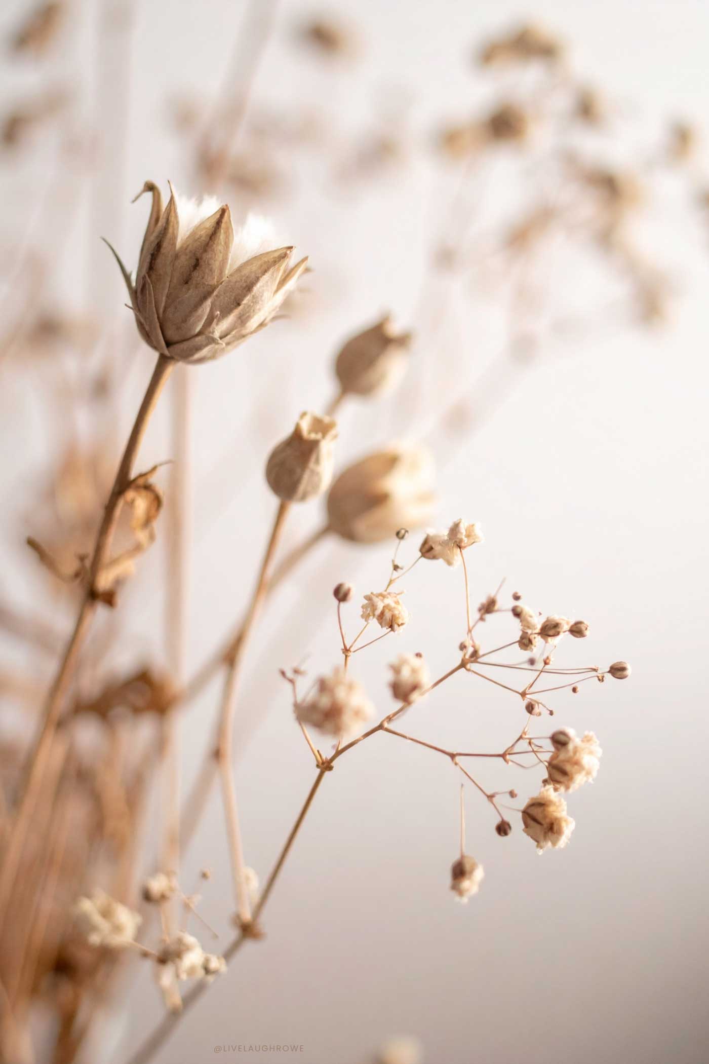 neutral dried florals with soft tones representing calm and slow seasons in life