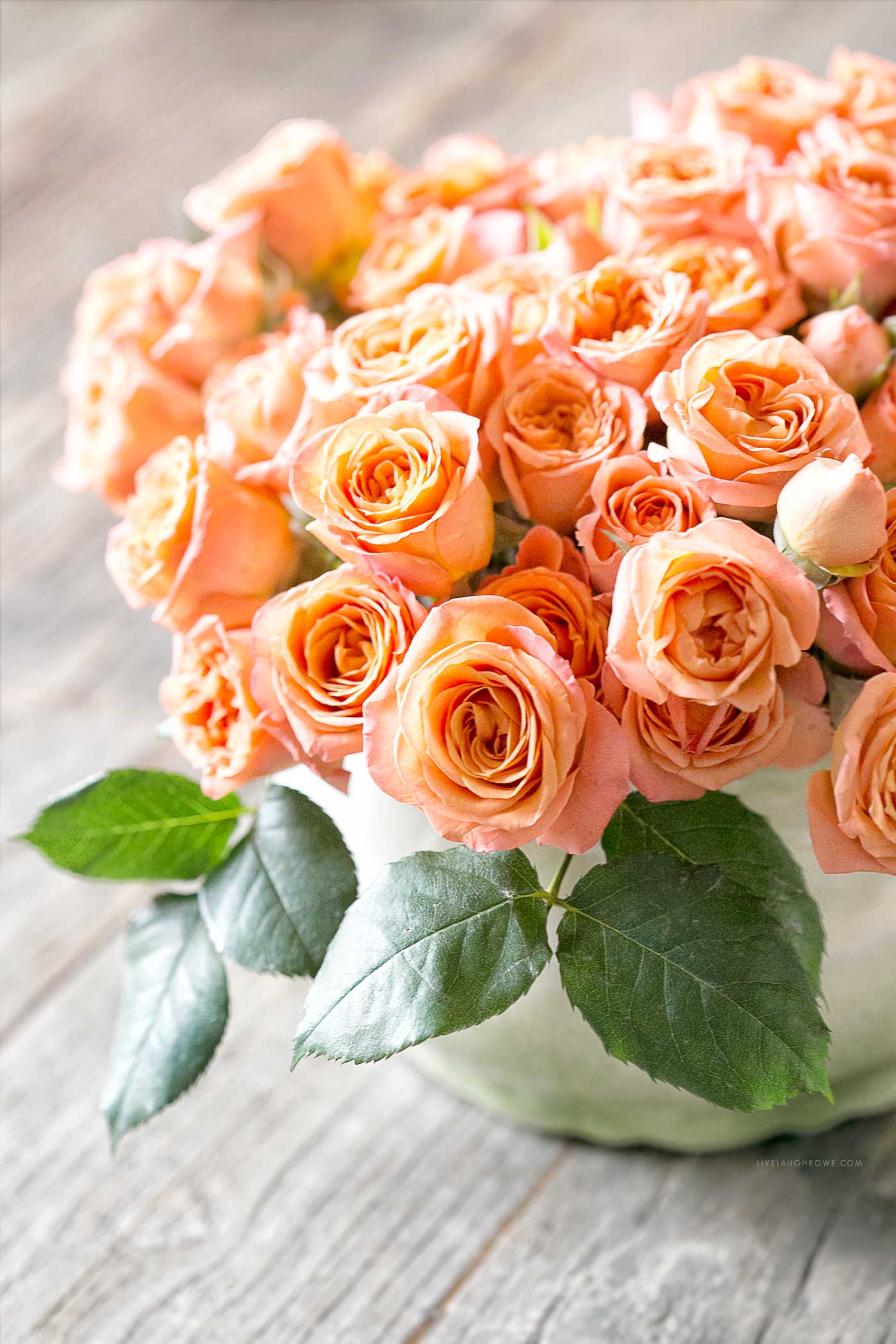 A bouquet of soft peach roses arranged in a clear glass vase on a rustic wooden surface with natural light.