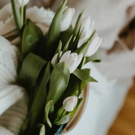 Spring tulips styled indoors with soft textures and neutral tones