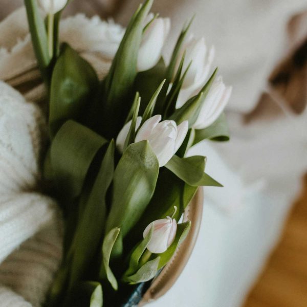 Spring tulips styled indoors with soft textures and neutral tones