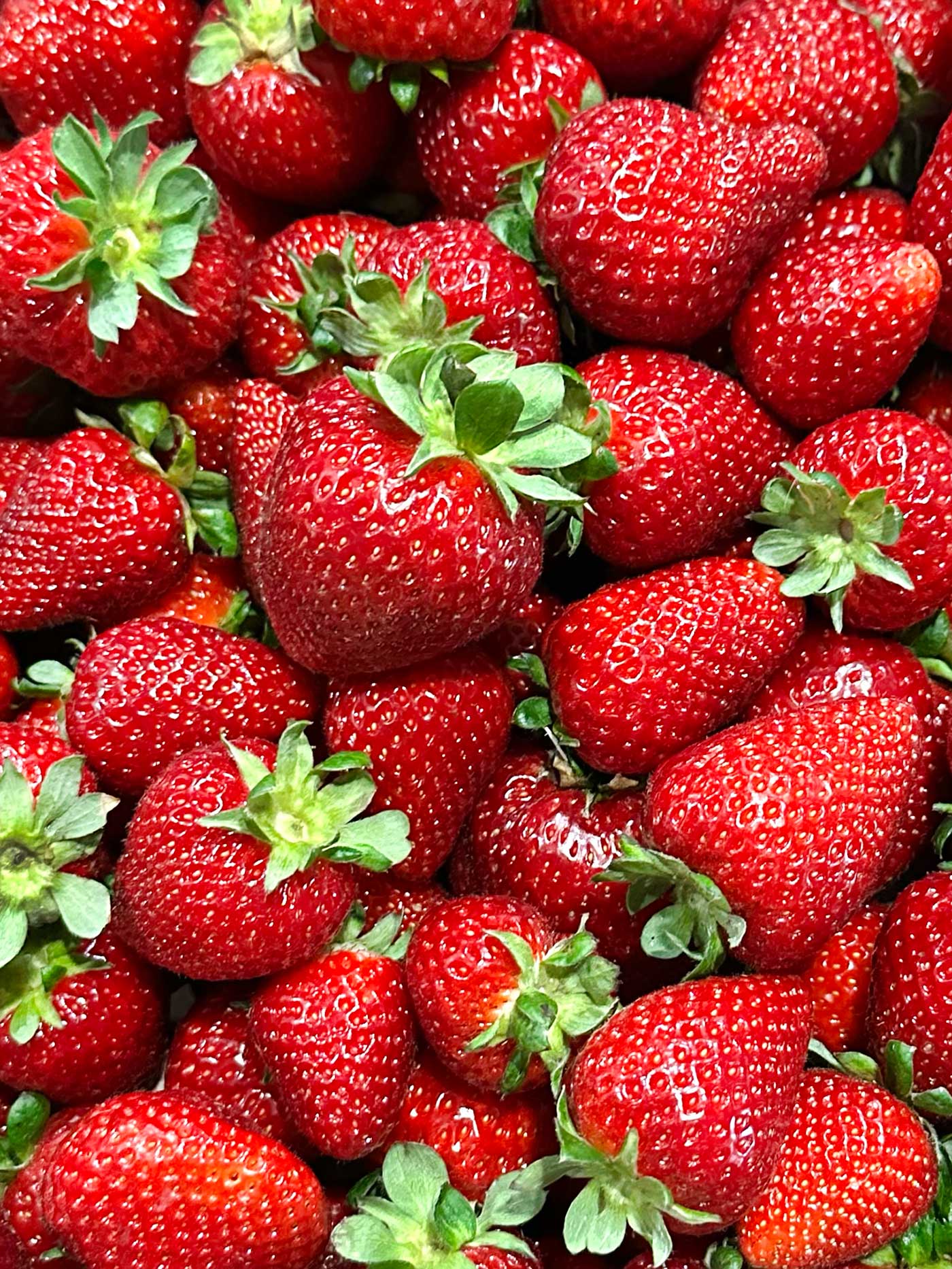Pile of ripe red strawberries freshly harvested and ready to enjoy.