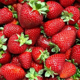 Close-up of freshly picked red strawberries with green leaves filling the frame.
