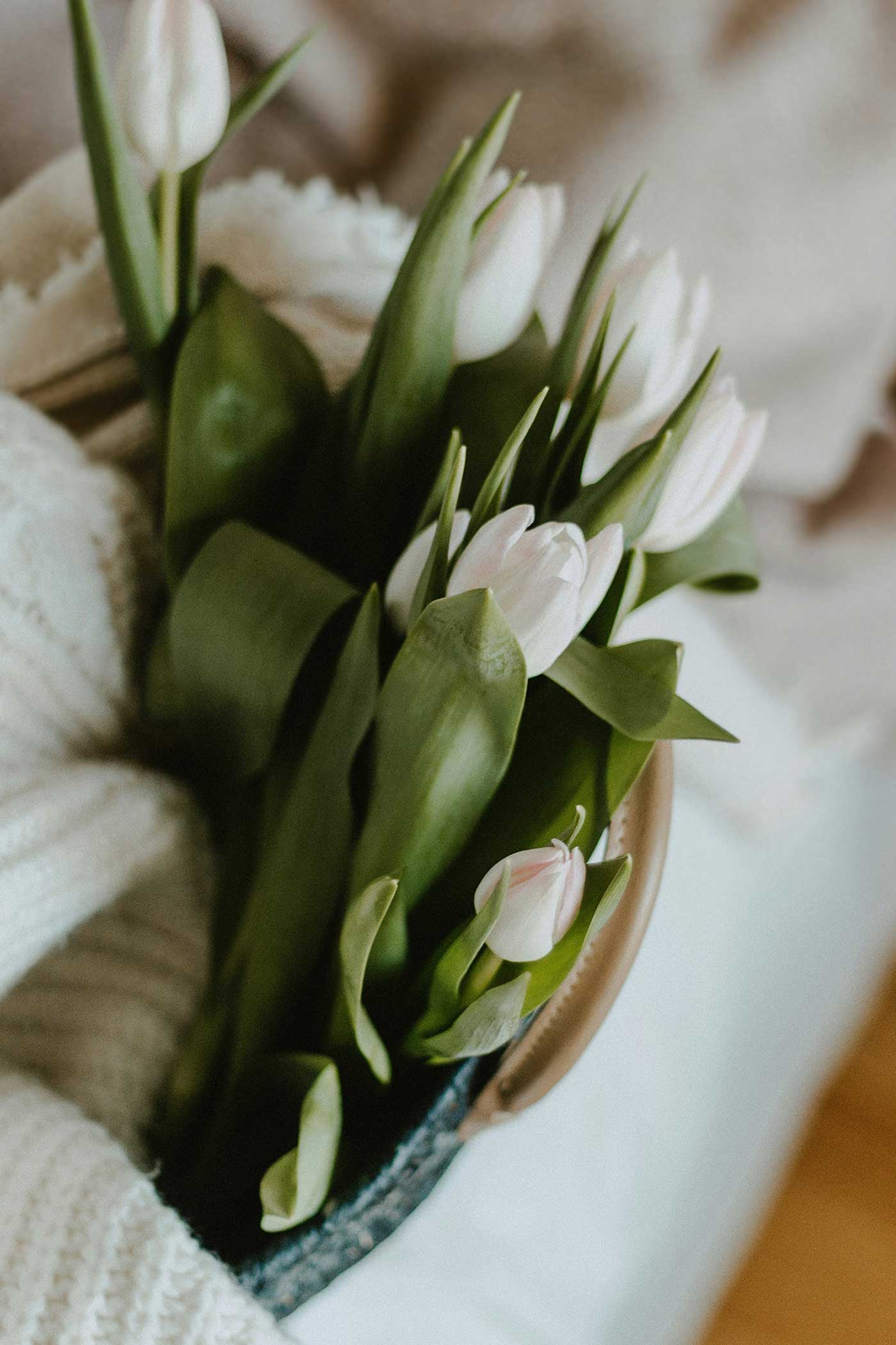Close-up of fresh tulips in a basket with warm natural lighting
