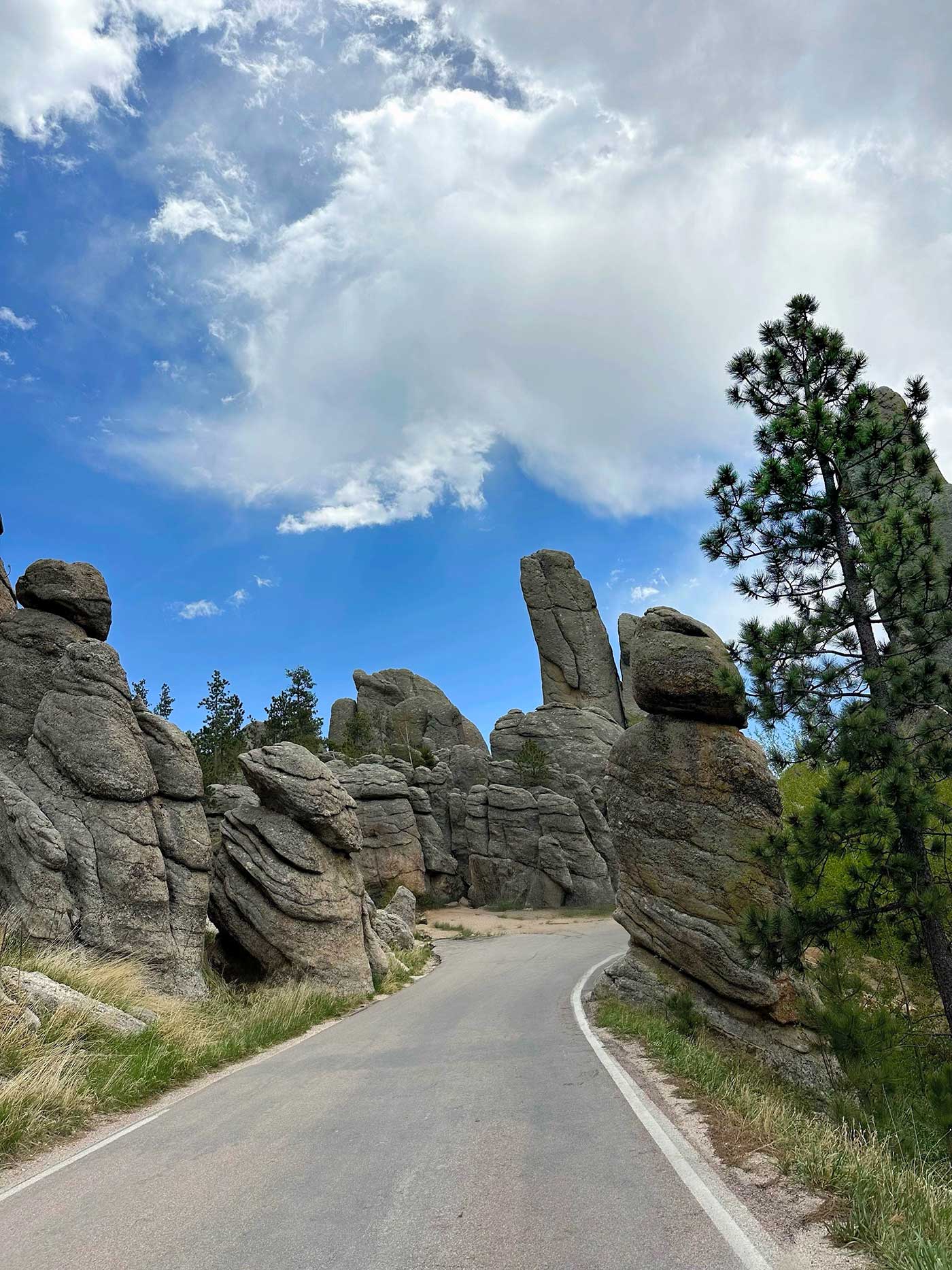 Curving roadway passing between large granite formations in the Black Hills.