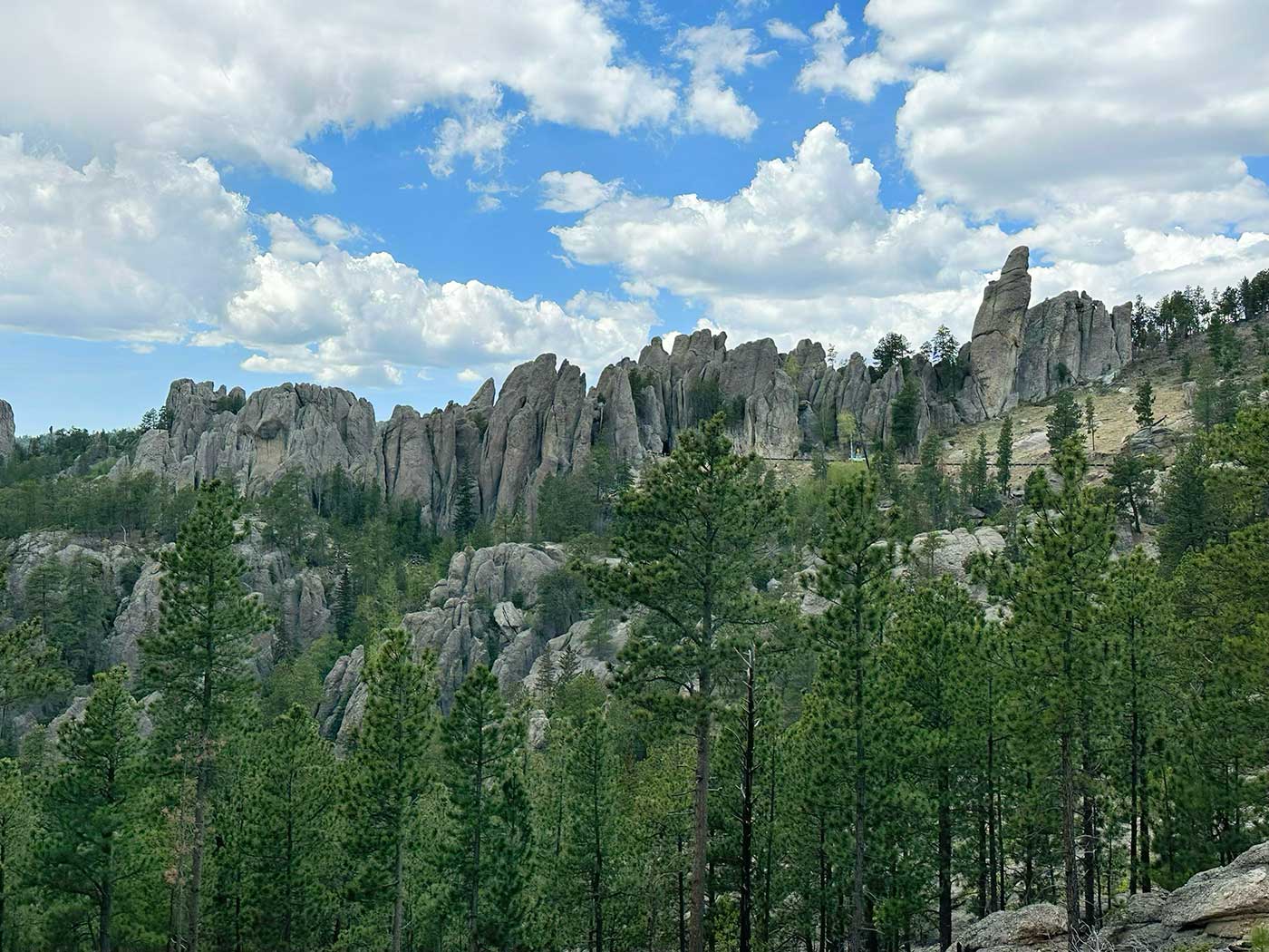 Rock formations and pine-covered hills in the Black Hills of South Dakota.